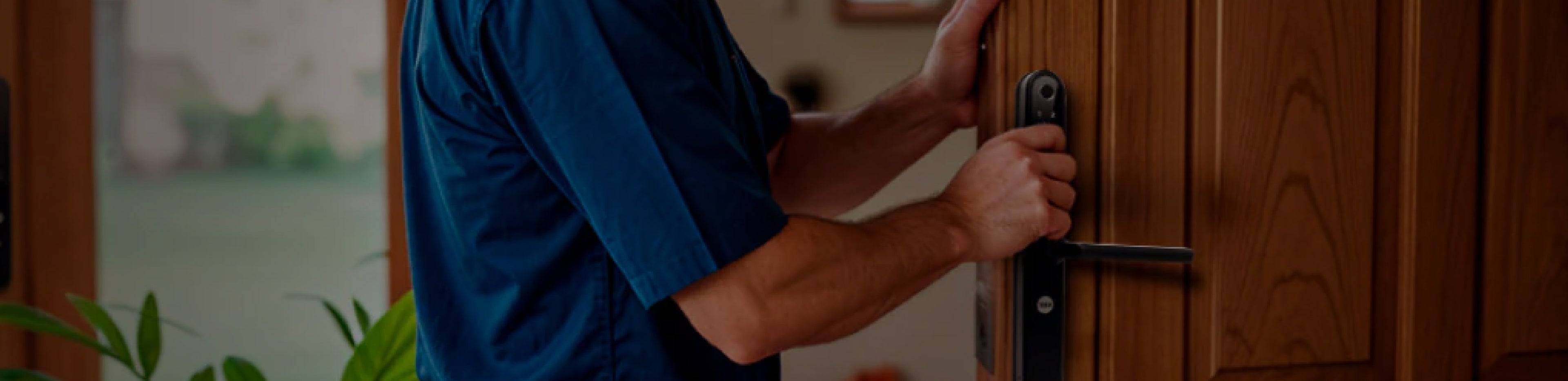 collection-banner-image